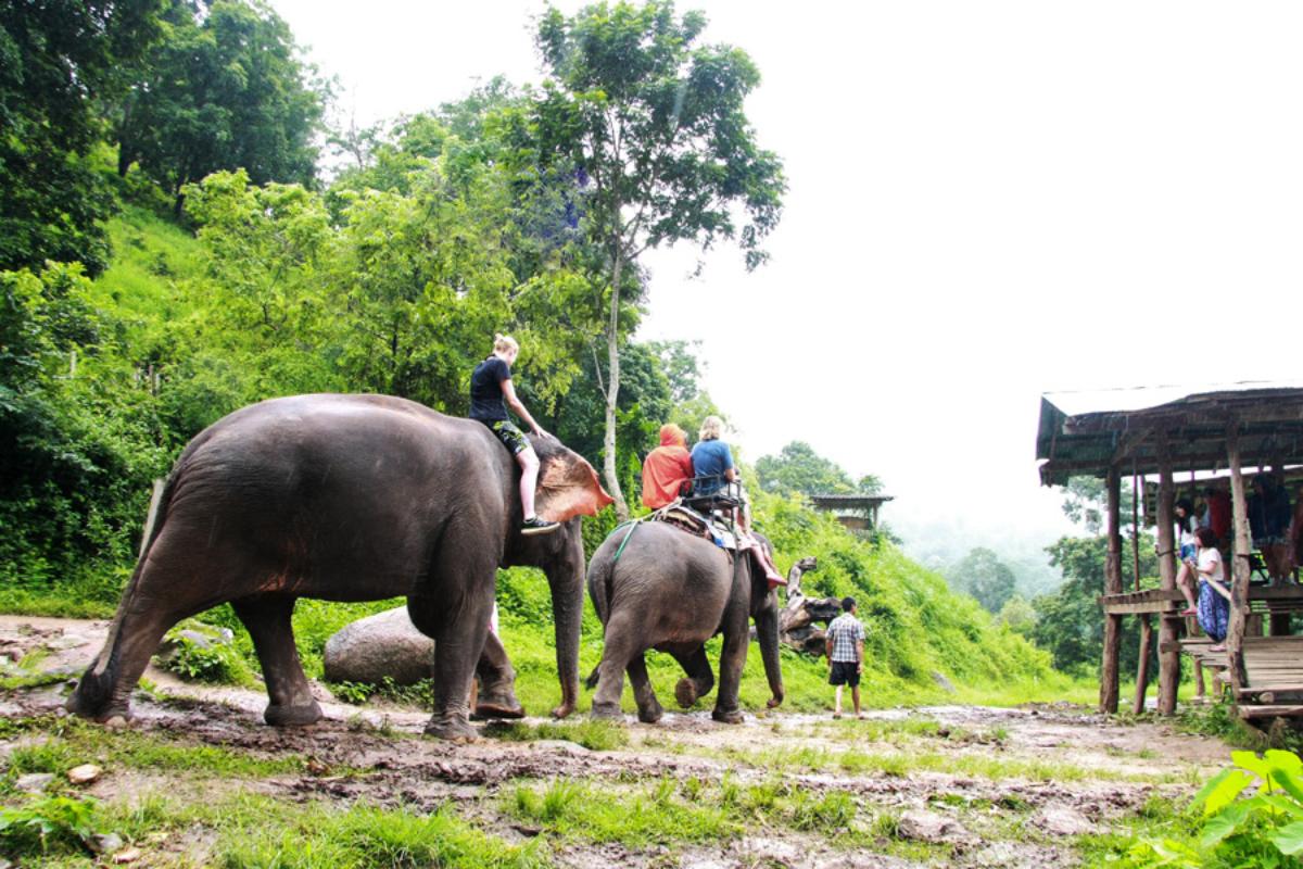 Elephant Care + ATV 1 hrs + White Water Rafting 10 km  (fullday)