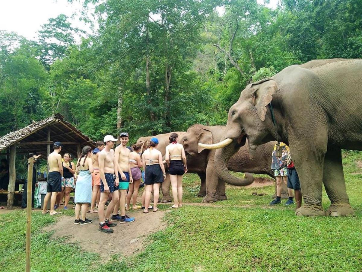 De’Kashor Elephants Sanctuary Project (2D1N)