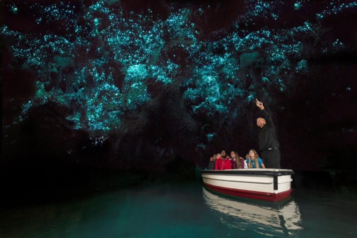 ทัวร์ถ้ำ Waitomo Caves และโลเคชั่นถ่ายทำภาพยนตร์ 'The Lord of the Rings' ที่หมู่บ้านฮอบบิทตันออกเดินทางจากเมืองออกแลนด์