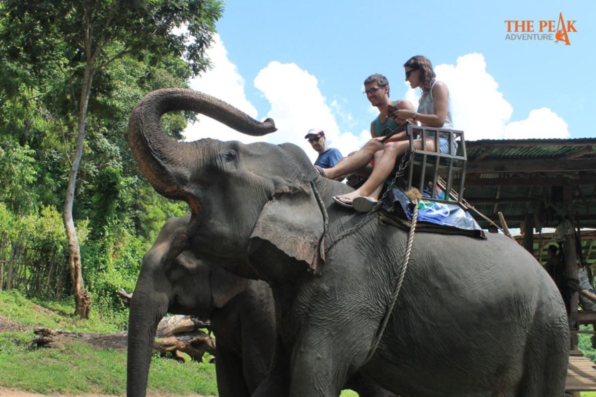 White Water Rafting 10 km. + Elephant Riding  (Full day)