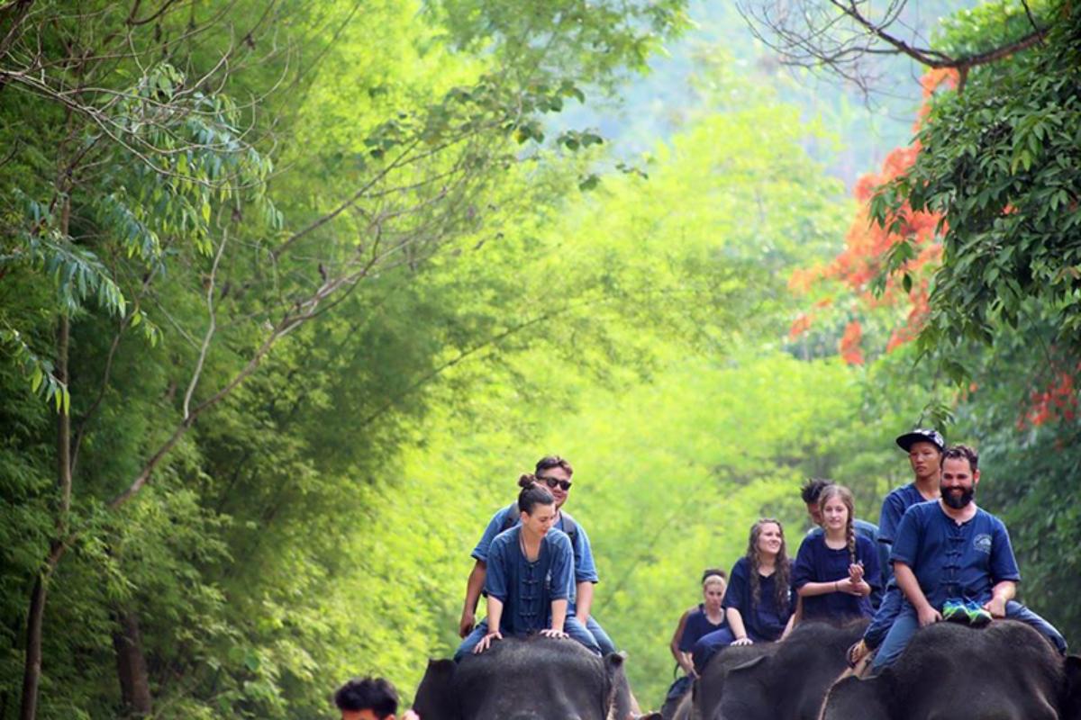 Elephant Rides take your elephants for a ride around the forest (1 day)