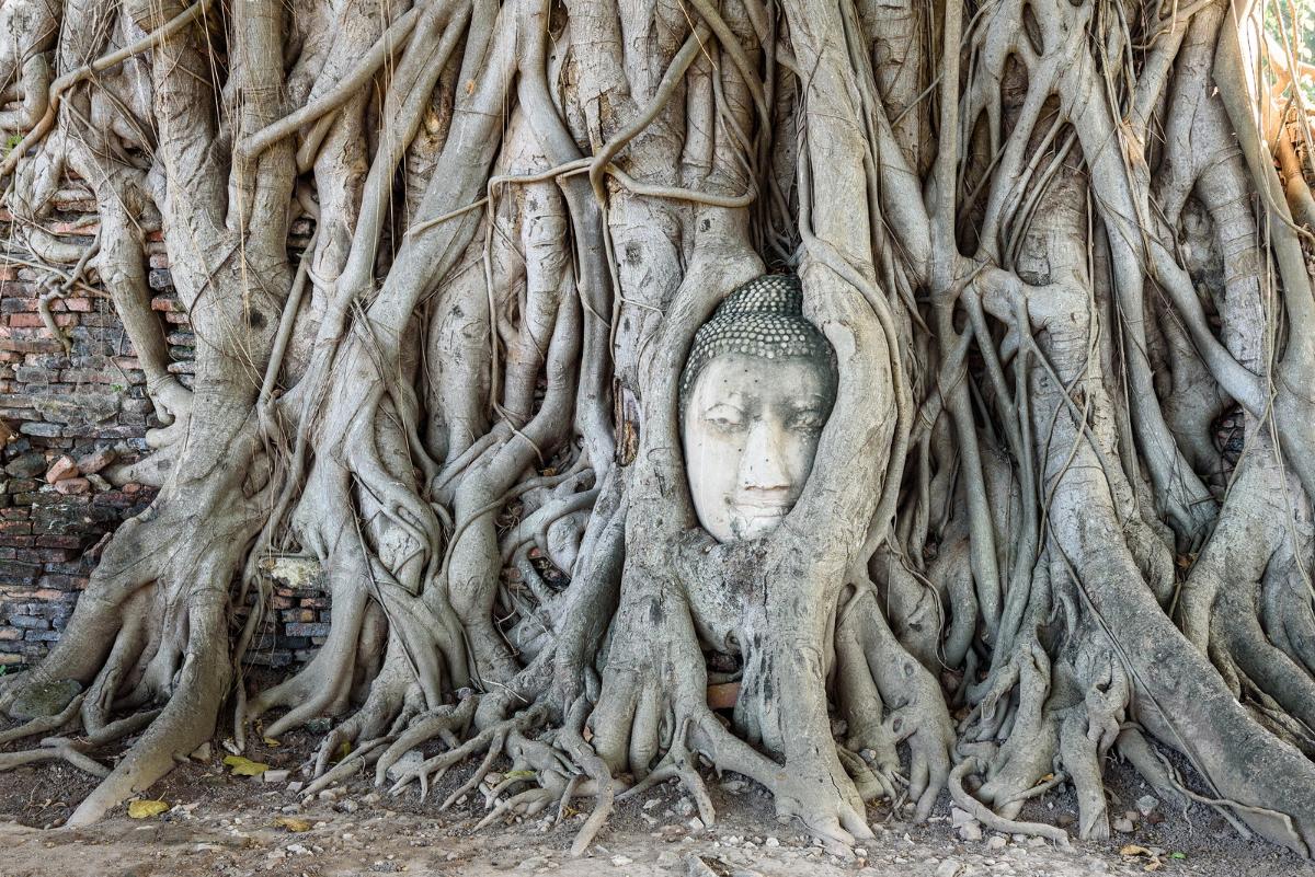 Ayutthaya World Heritage Tour  (Full day)