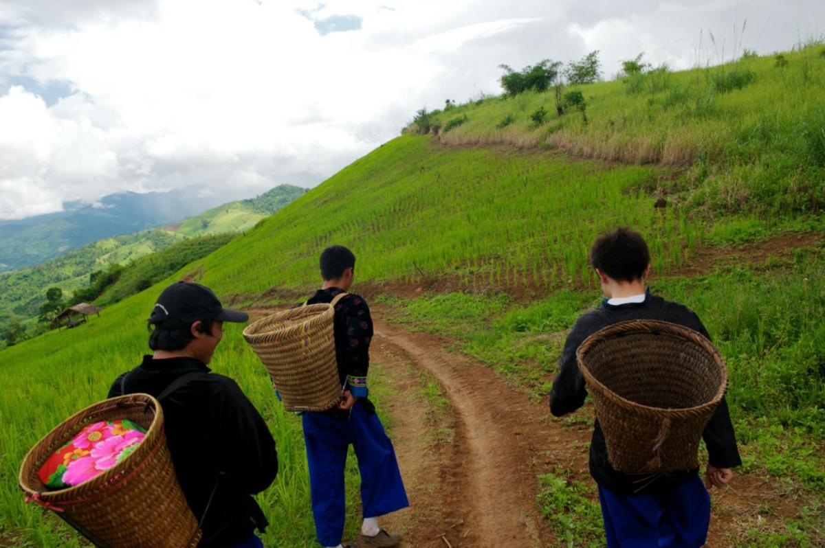 Walking mountain see sunrise  (One day trip)