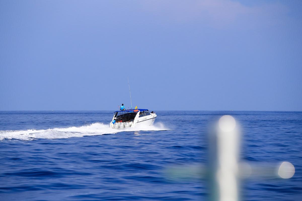 ทัวร์ดำน้ำหมู่เกาะสิมิลัน <Speed Boat>  (1Day)