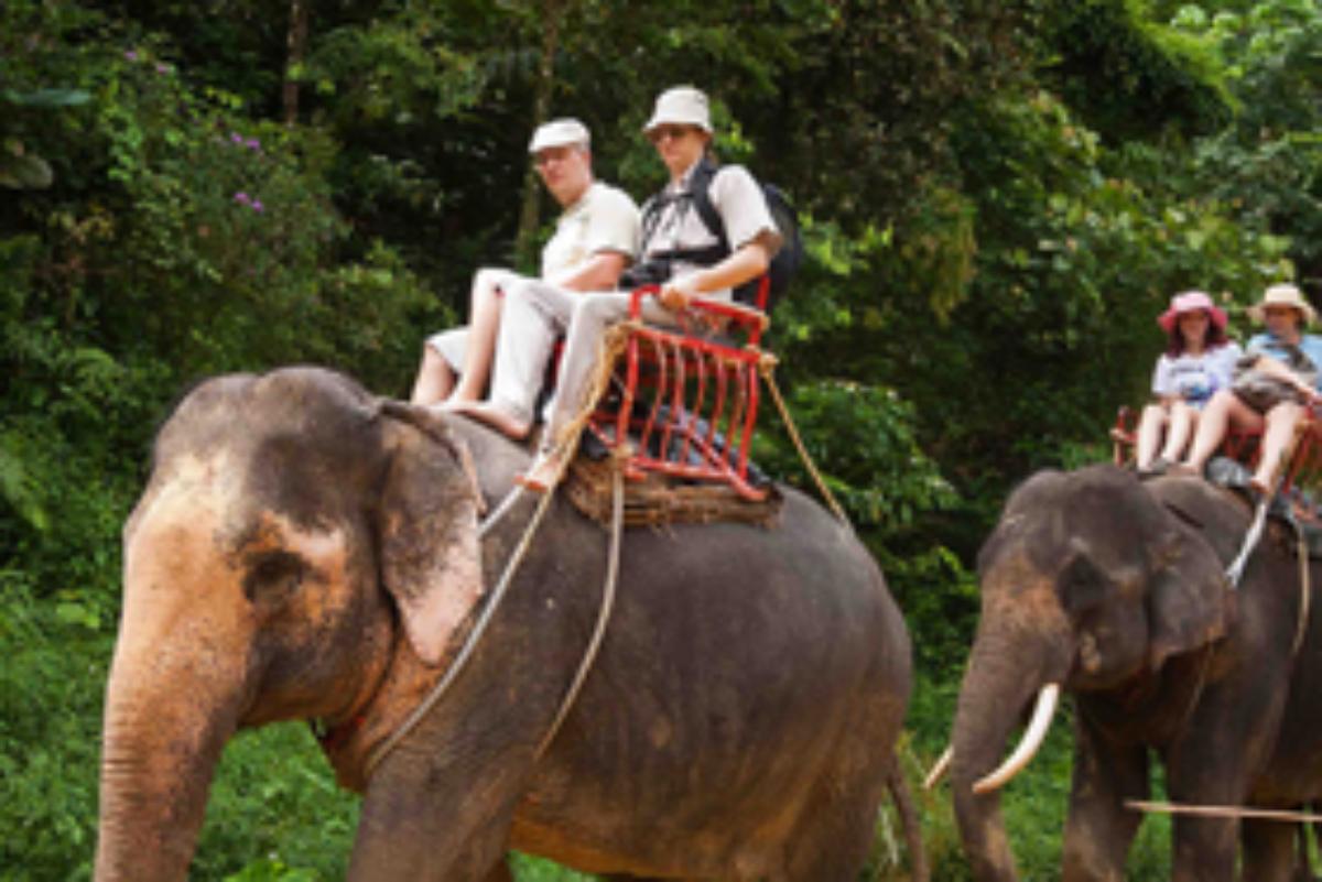 khaolak Discovery(Elephant Riding) 