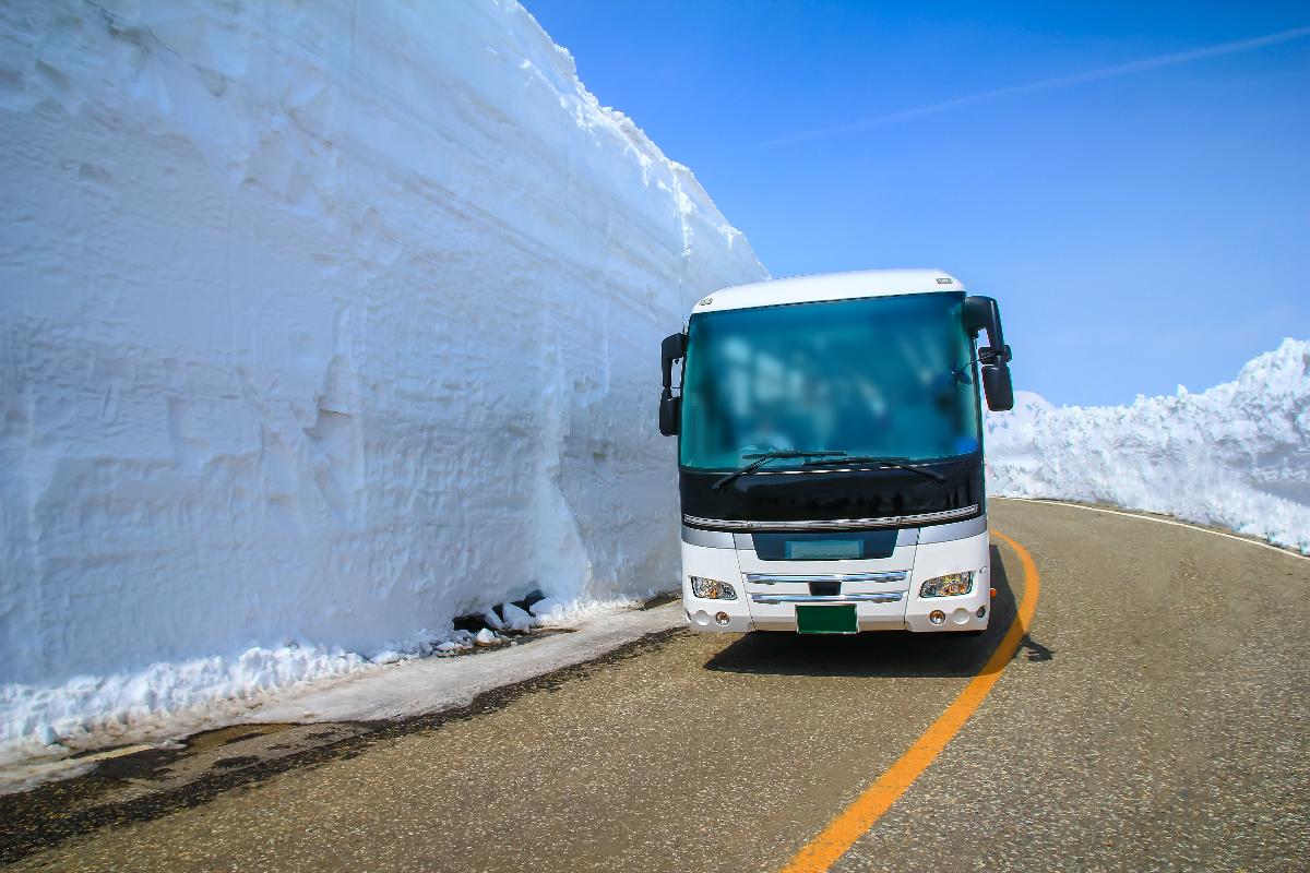 HAPPY OSAKA SNOW WALL & SHIRAKAWAGO งานดี 5 D 4 N