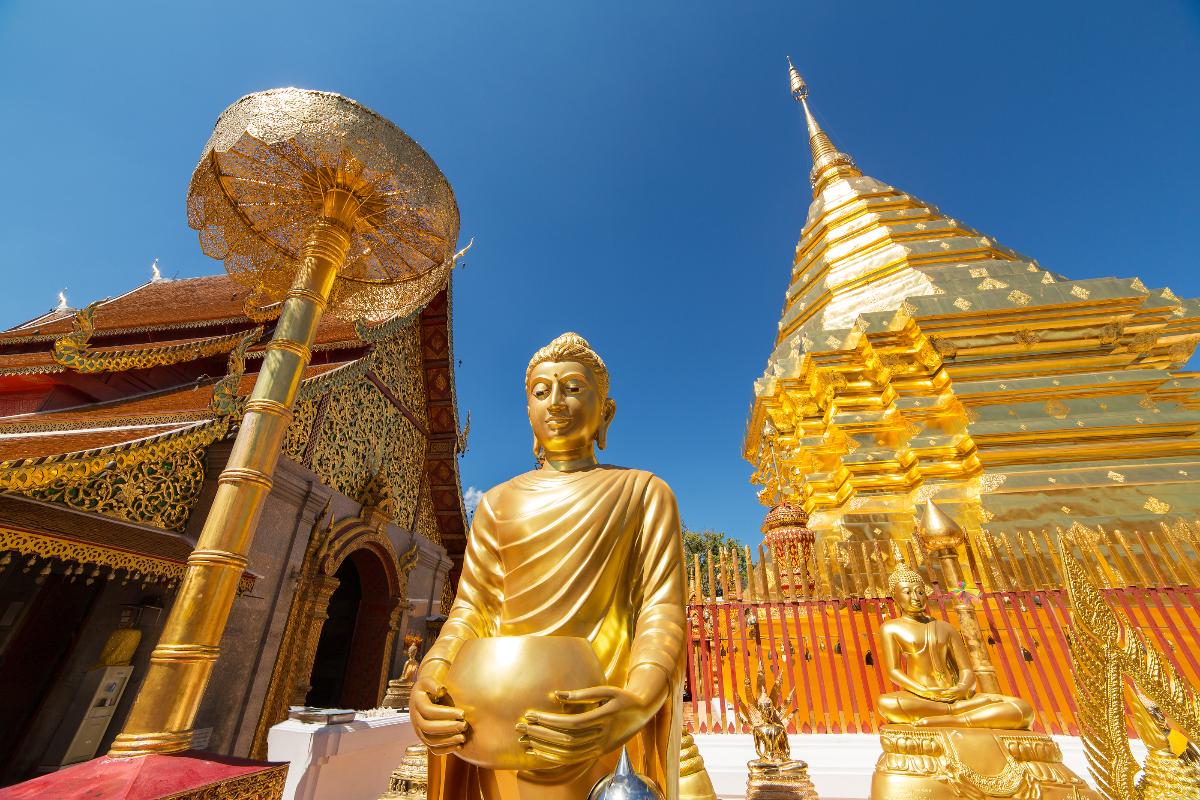 Doi Suthep Temple & King's Winter Palace (half day)