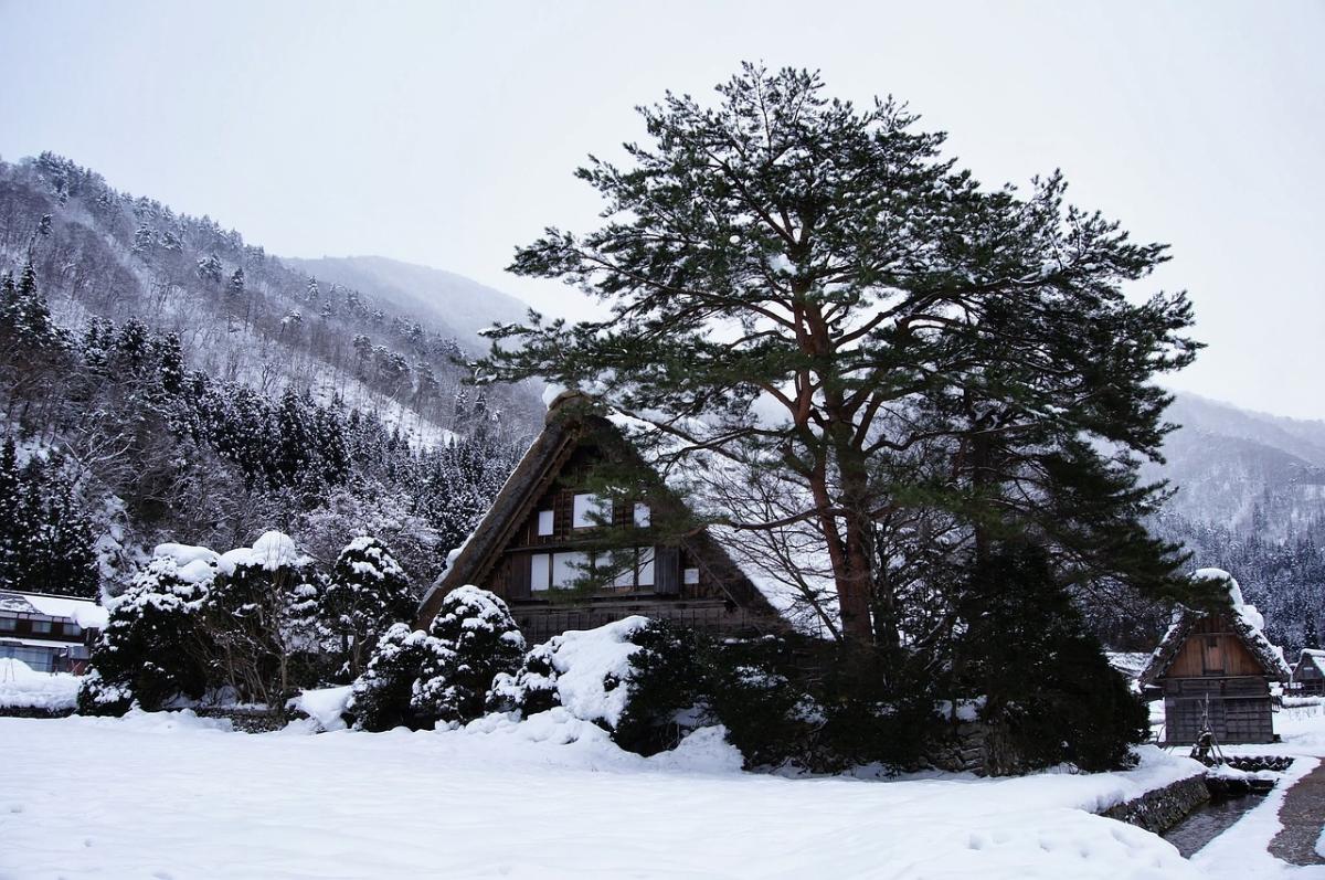 SNOW LAND OSAKA TAKAYAMA  5 D 3 N (BY XJ)