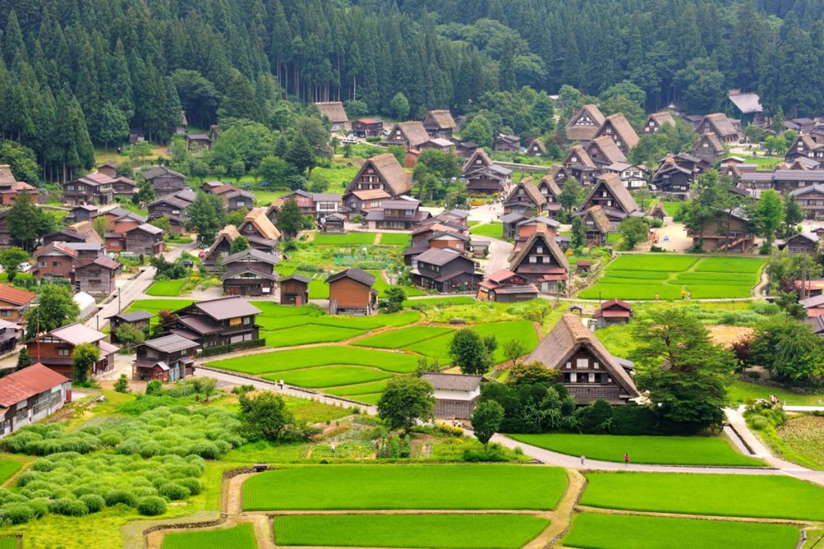 ชมเมืองเก่าของญี่ปุ่น 3 แห่ง:เขตเมืองเก่าซึมาโกะจุกุ・เมืองฮิดะ-ทาคายามะ・หมู่บ้านมรดกโลกชิราคาวาโกะ ..One Day Trip